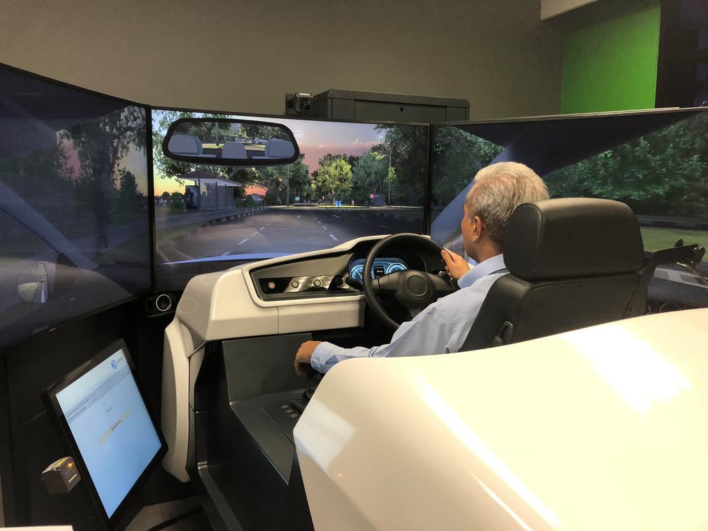 Driving Simulation